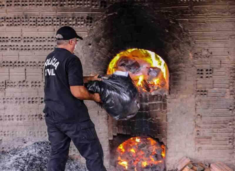 Departamento de Narcóticos incinera mais de 800 quilos de entorpecentes em Porto Velho