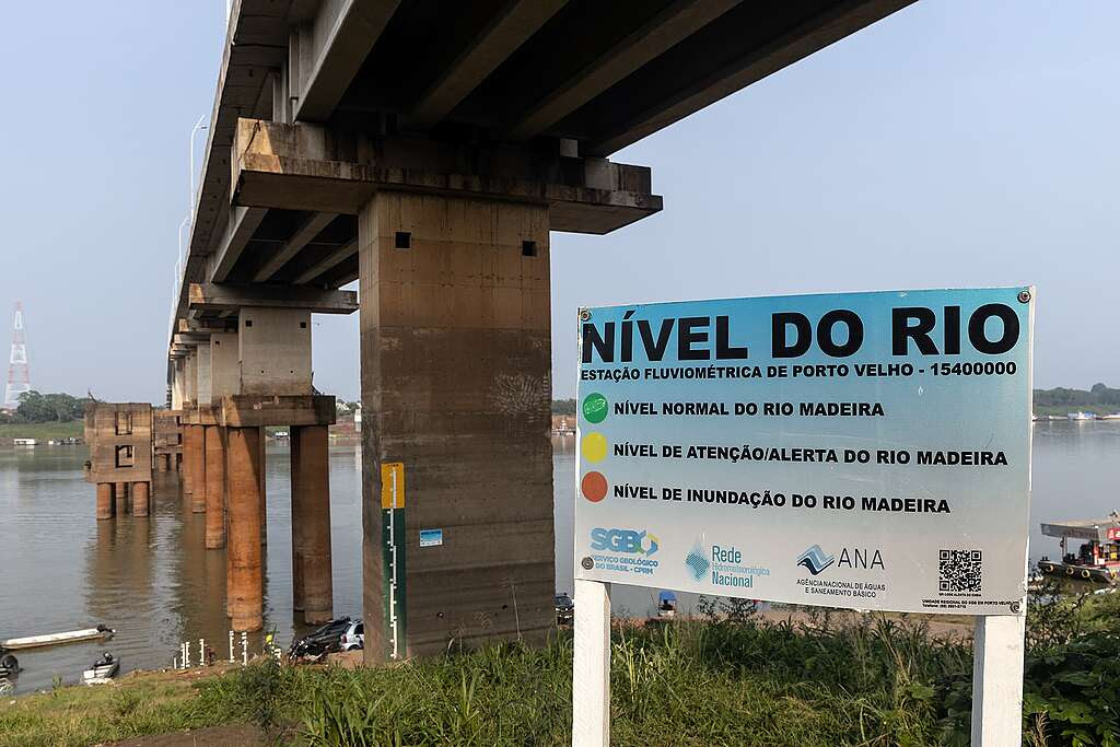 Foto: Marizilda Cruppe/Greenpeace